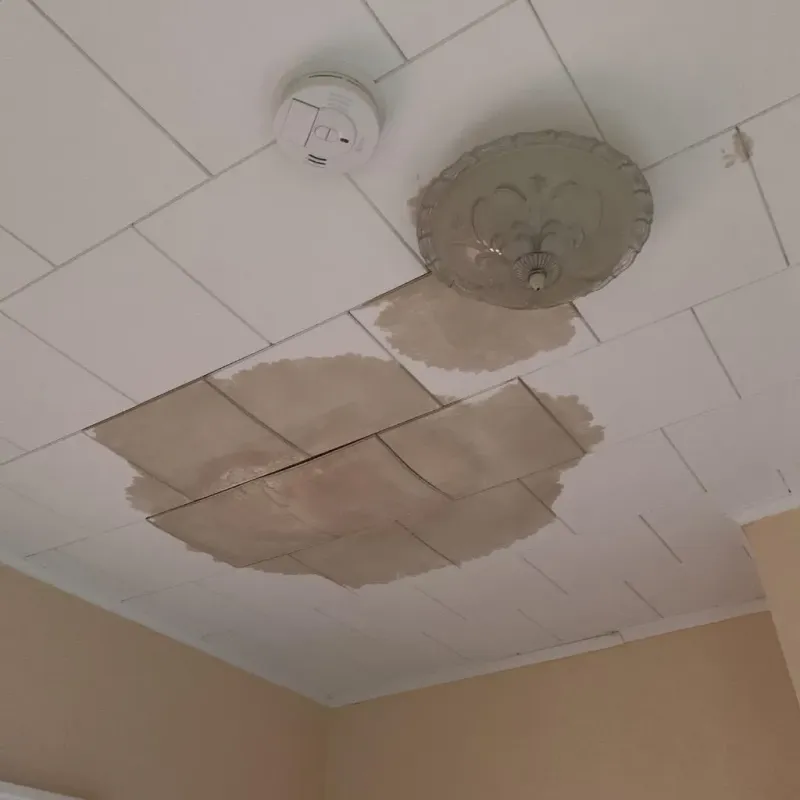 Ceiling Water Damage Repair in Baxter, MN